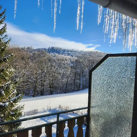 Habitación en casa particular Gaestehaus Senger Bestwig