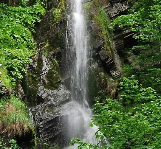 Gaestehaus Senger 民宿